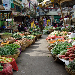 India (21 of 51)