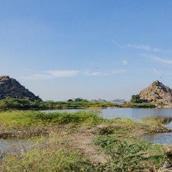 India (28 of 51)