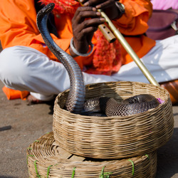 India (44 of 51)