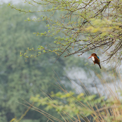 India (47 of 51)